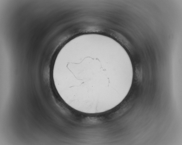 X0000115830534200911201507