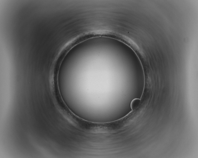 X0000115830535200911201507