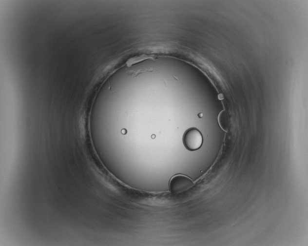 X0000115830537200911201507