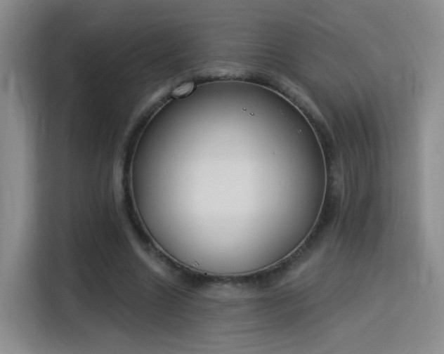 X0000115830538200911201507