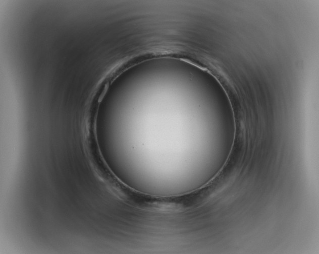 X0000115830539200911201507