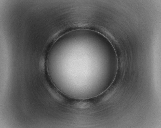 X0000115830542200911201507