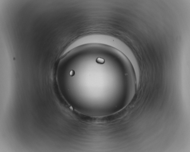 X0000115830546200911201507