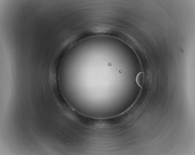 X0000115830547200911201507