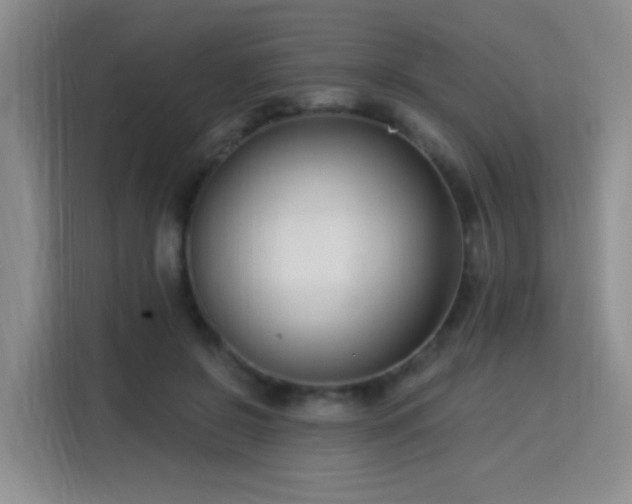 X0000115830550200911201507