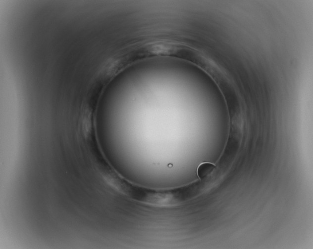 X0000115830554200911201507