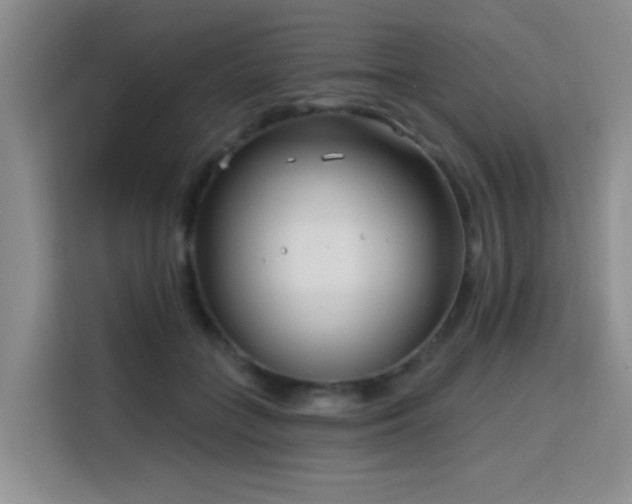 X0000115830555200911201507