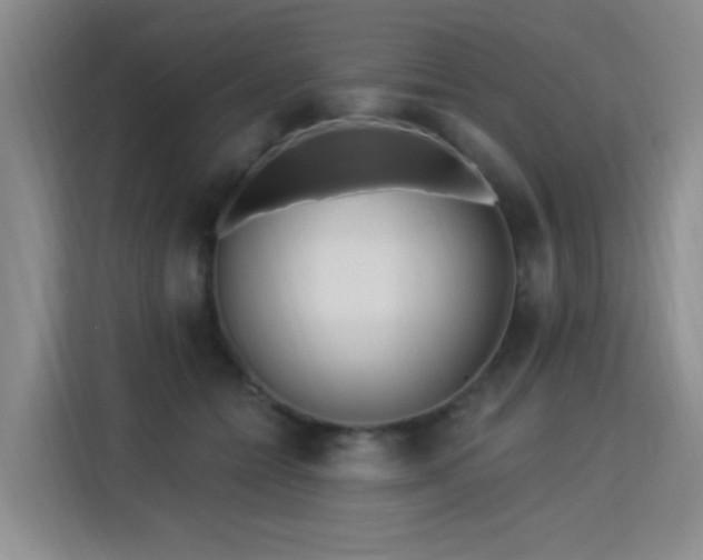 X0000115830558200911201507