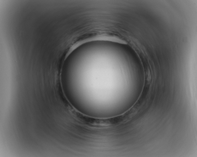 X0000115830559200911201507