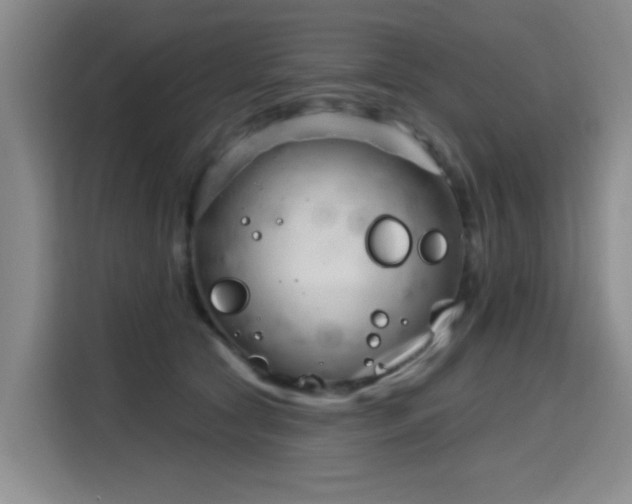 X0000115830561200911201507