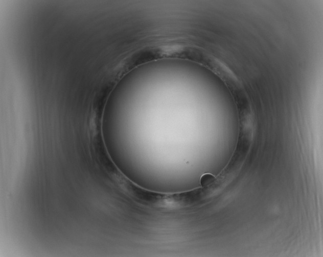 X0000115830565200911201507