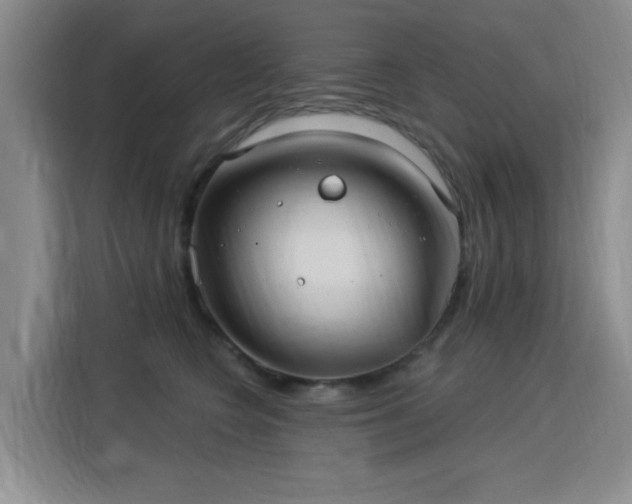 X0000115830566200911201507