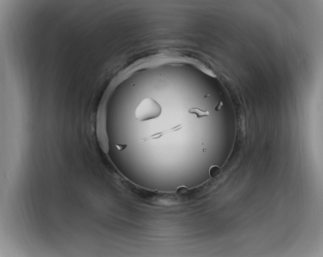 X0000115830567200911201507