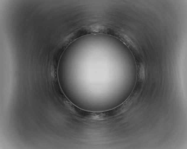 X0000115830569200911201507