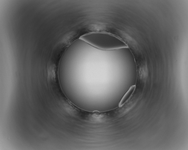 X0000115830570200911201507