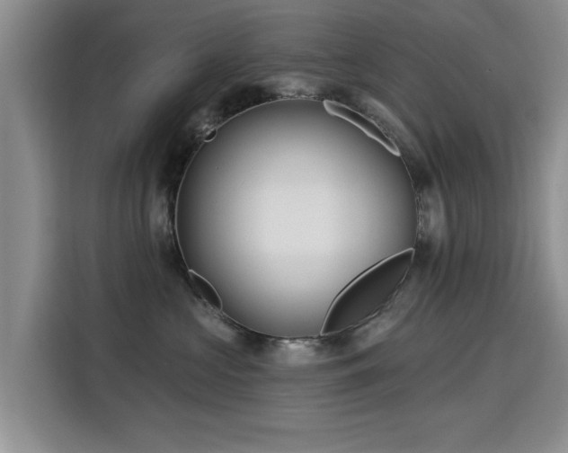 X0000115830573200911201508