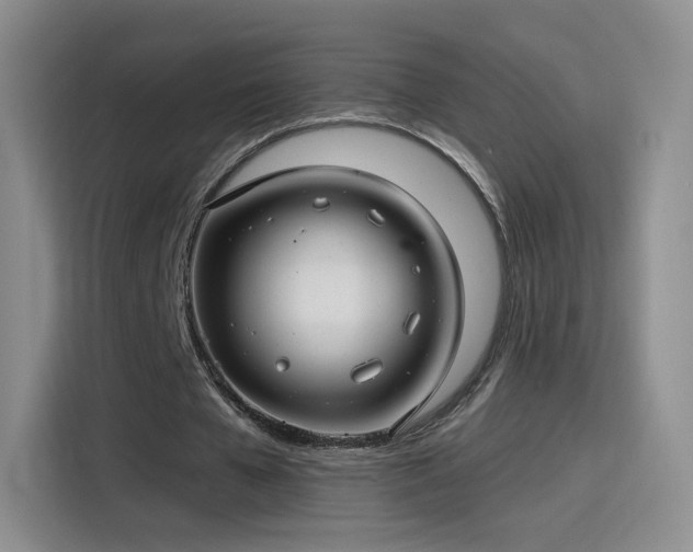 X0000115830577200911201507