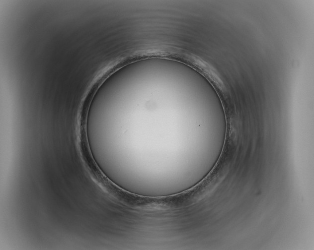 X0000115830578200911201507