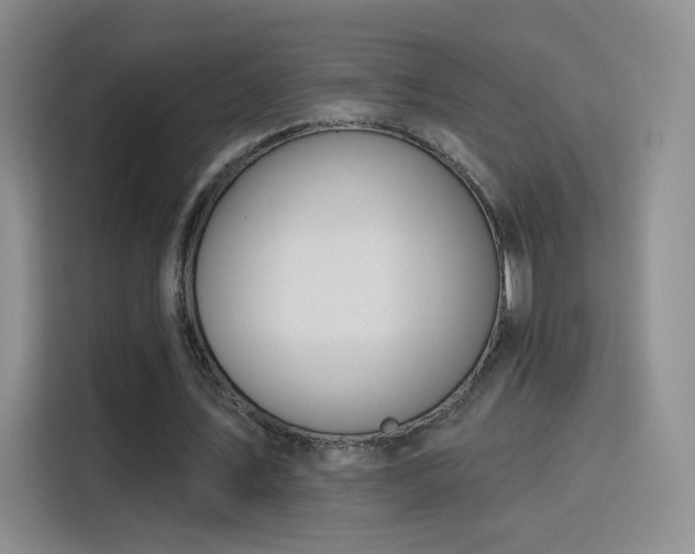 X0000115830579200911201507