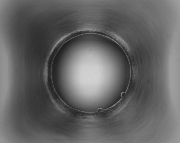 X0000115830580200911201507