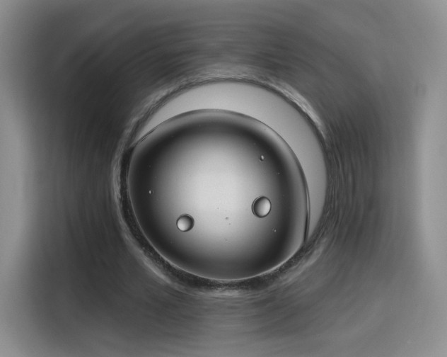 X0000115830581200911201507