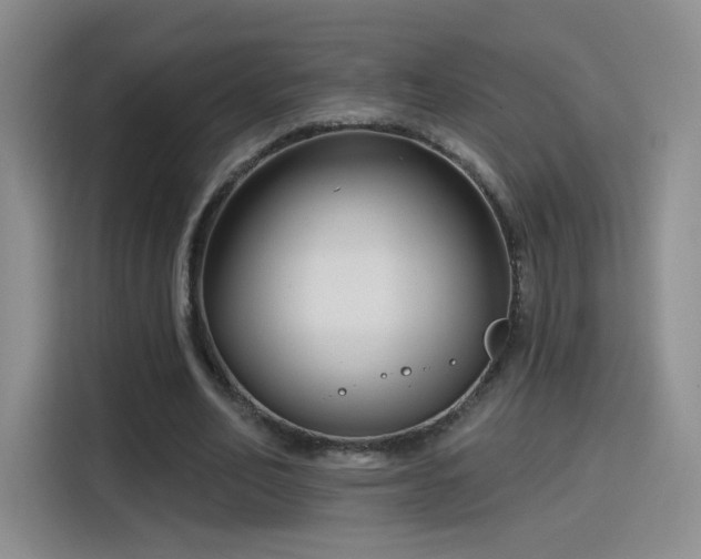 X0000115830582200911201507