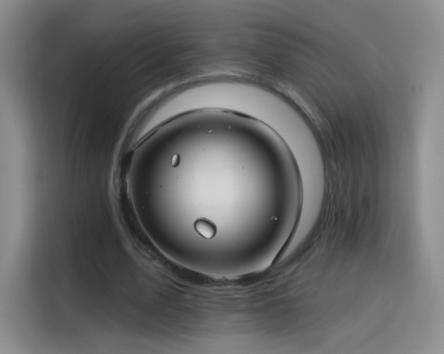 X0000115830583200911201507