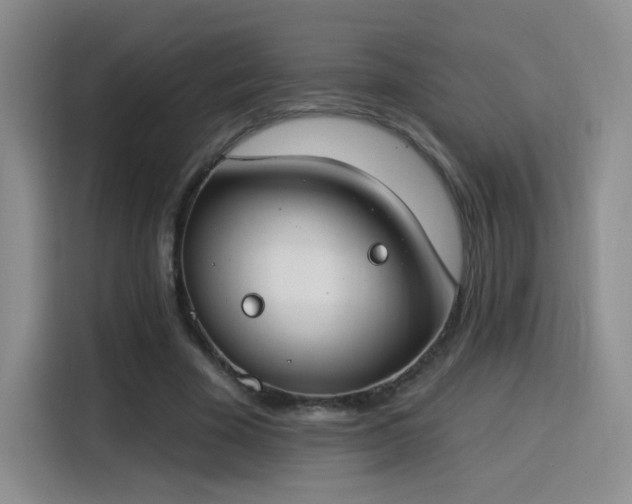 X0000115830585200911201507