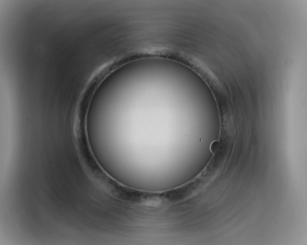 X0000115830587200911201507