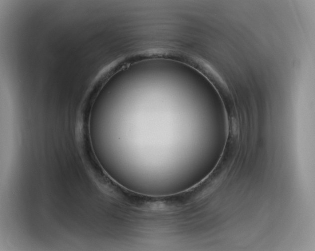 X0000115830588200911201507