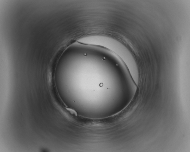 X0000115830589200911201507