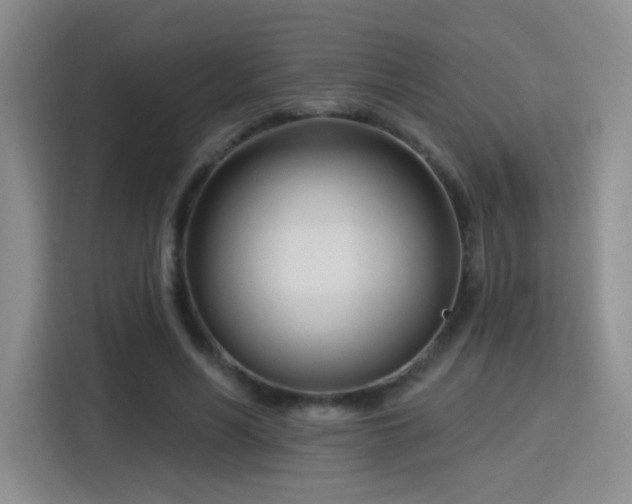 X0000115830590200911201507