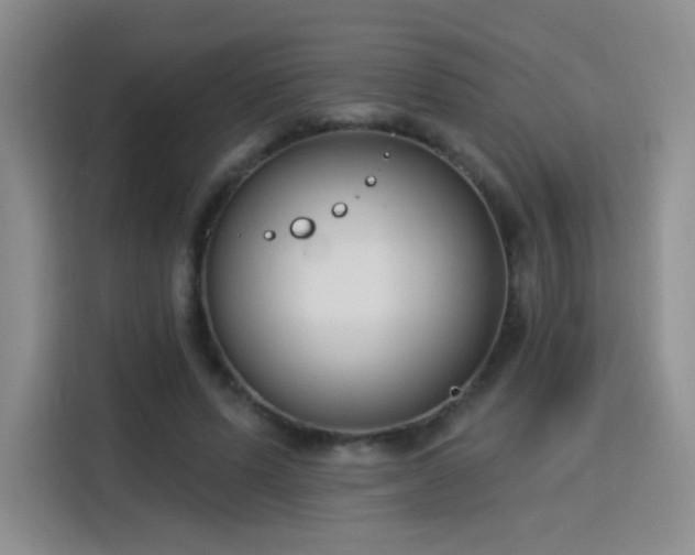 X0000115830591200911201507