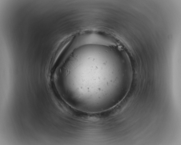 X0000115830592200911201507