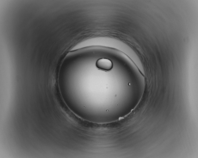 X0000115830593200911201507