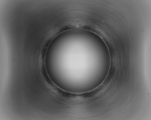 X0000115830594200911201507