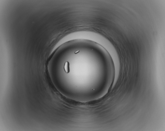 X0000115830595200911201507