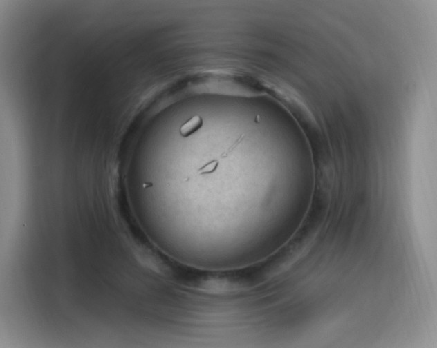 X0000115830596200911201507