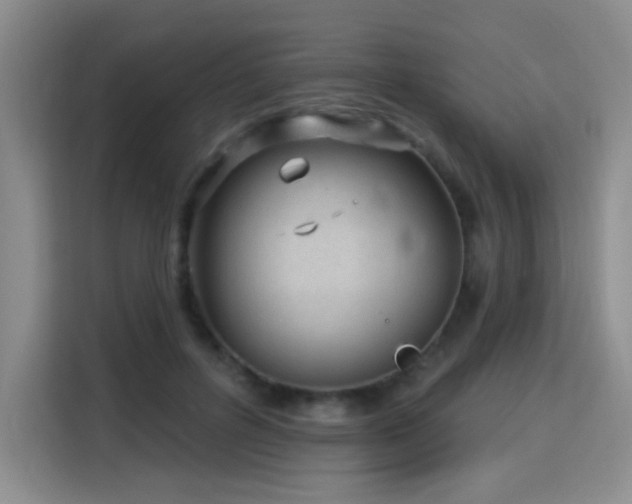 X0000115830600200911201507