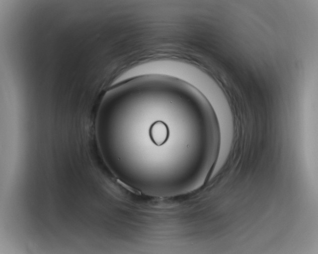 X0000115830601200911201507