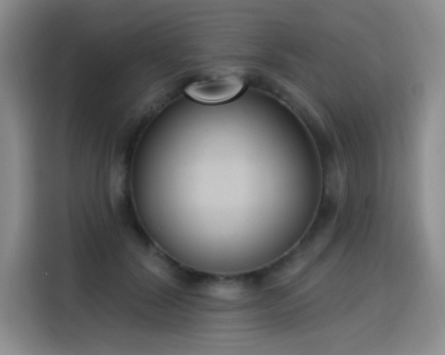 X0000115830604200911201507