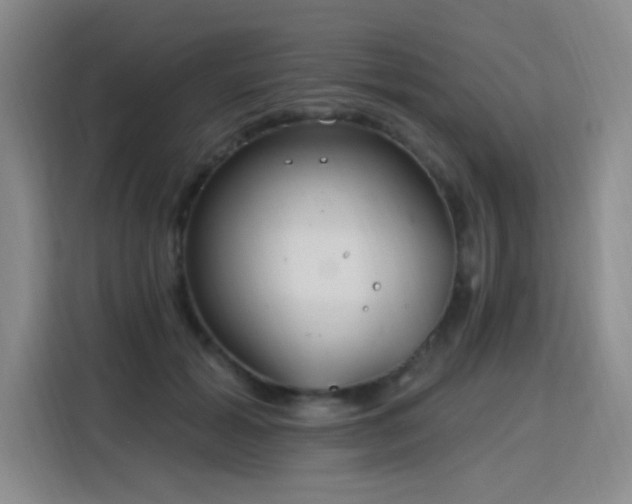 X0000115830605200911201507