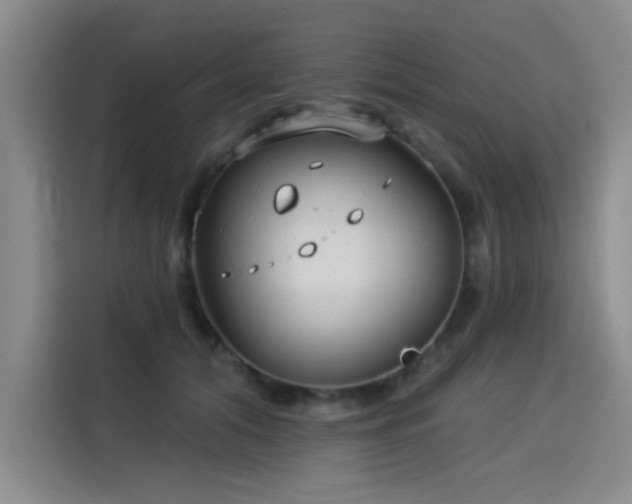 X0000115830608200911201507