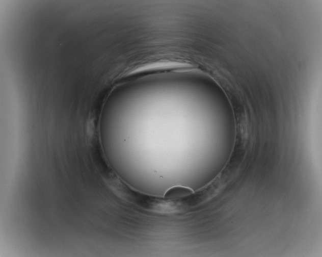 X0000115830611200911201506