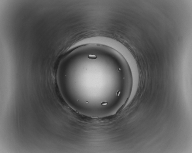 X0000115830613200911201506