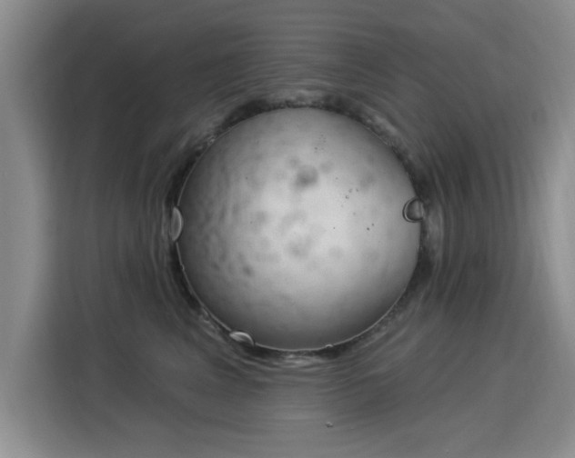 X0000115830617200911201506