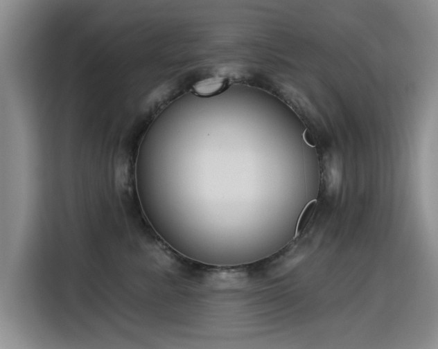 X0000115830619200911201506