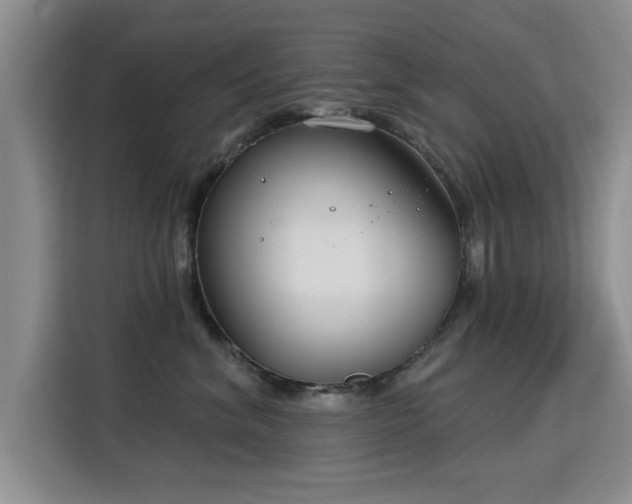 X0000115830620200911201506