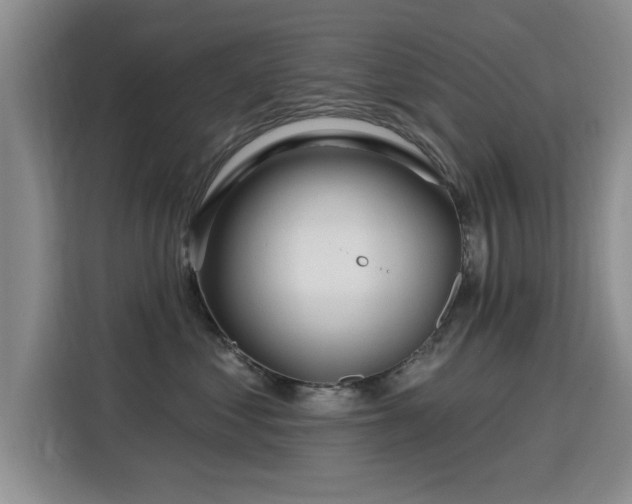 X0000115830621200911201506