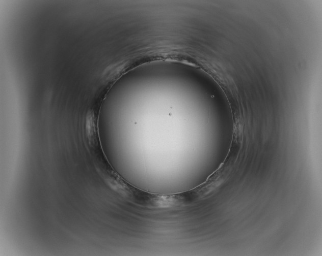 X0000115830623200911201506